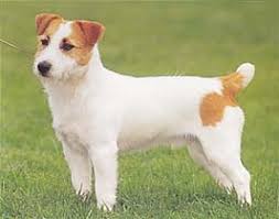 �����Ƒ��Ɍ}����O��